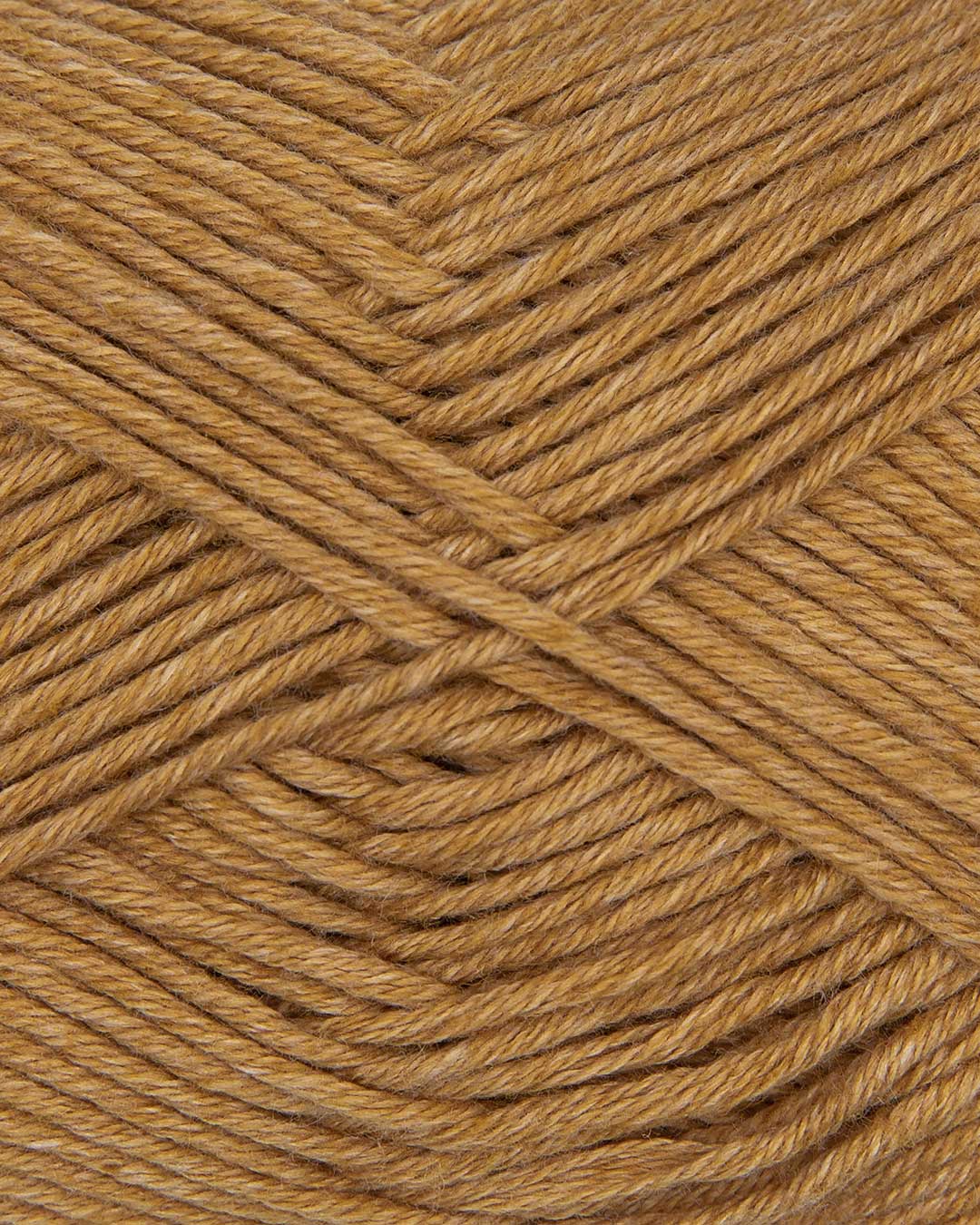 c4987-11__Baby_Cotton_B2.jpg