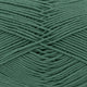 vert-gris