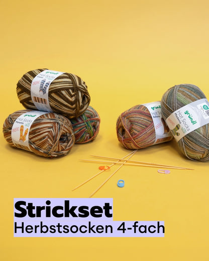 Strickset Herbstsocken 4-fach
