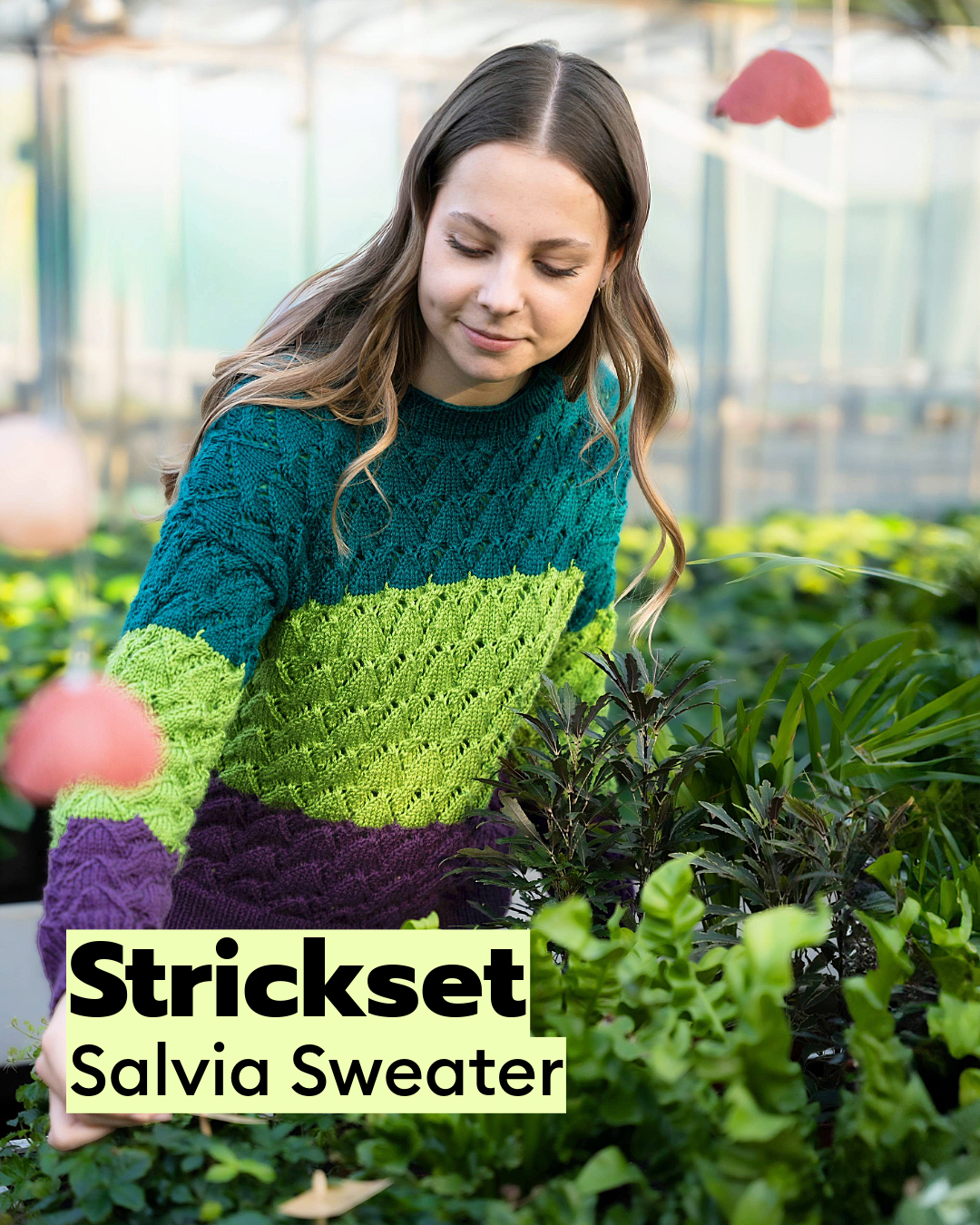 Strickset Salvia Sweater