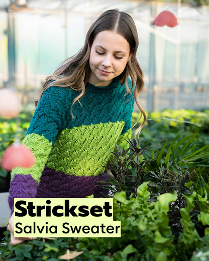 Strickset Salvia Sweater