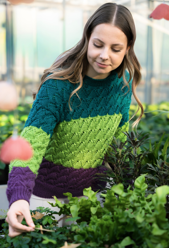 Anleitung Salvia Sweater