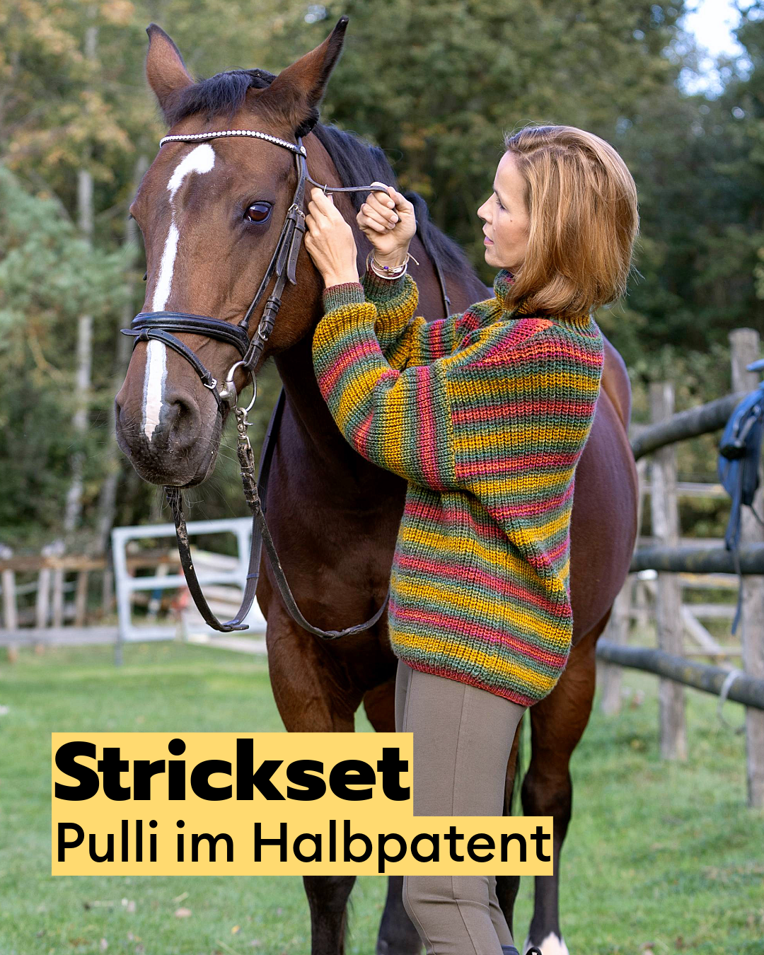 Strickset Pulli im Halbpatent