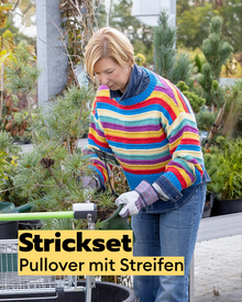 Strickset Pullover mit bunten Streifen