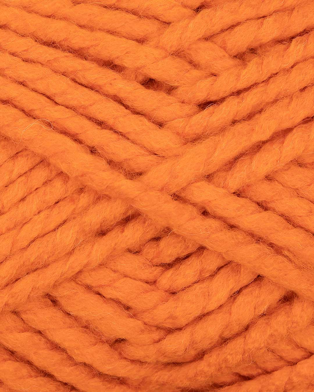 c3350-22__Alaska_uni_B2.jpg