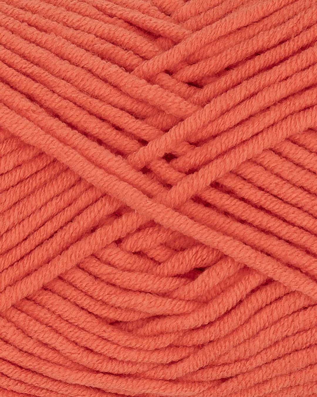 c3360-33__King_Cotton_B2.jpg