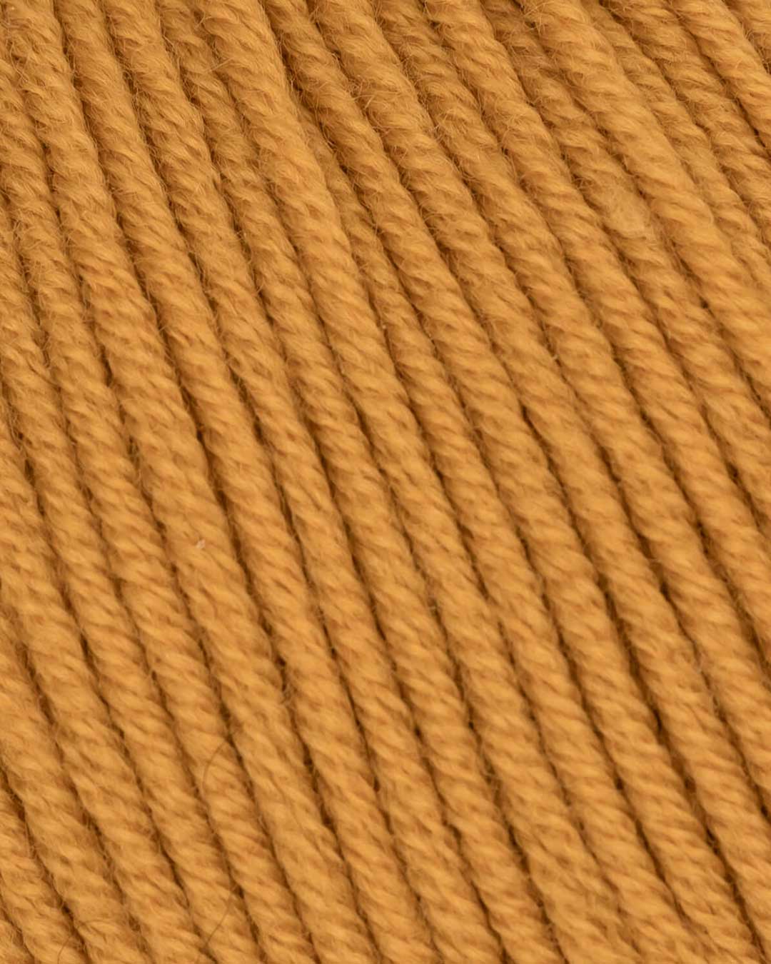 c6232-14__Merino_Mio_B2.jpg
