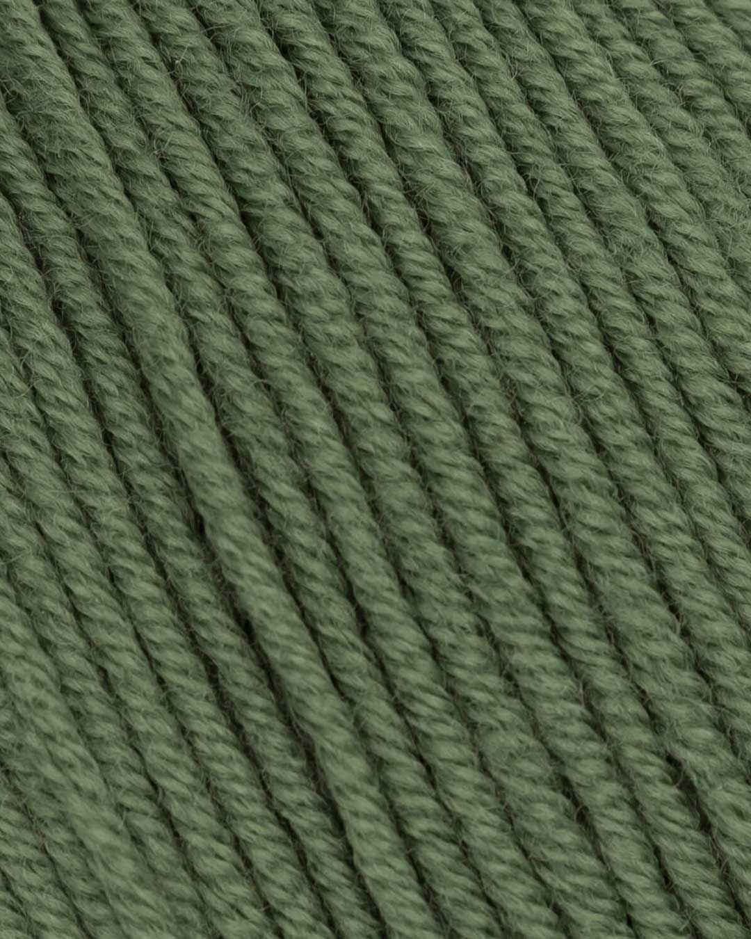 c6232-19__Merino_Mio_B2.jpg