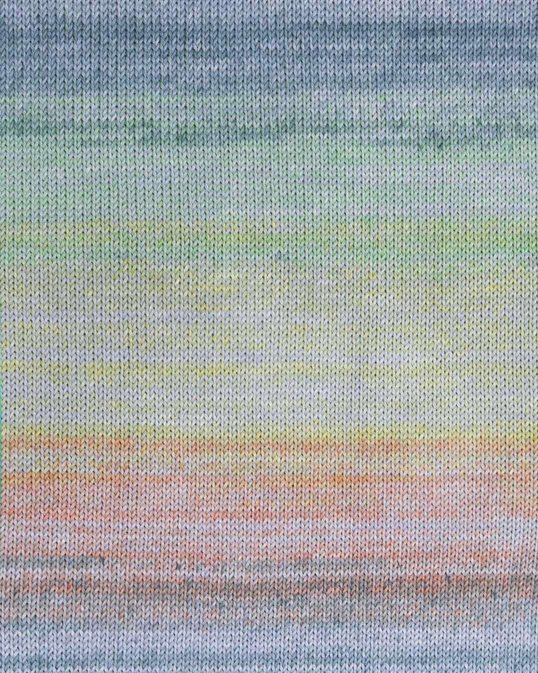 c6355-01__Primavera_B2.jpg