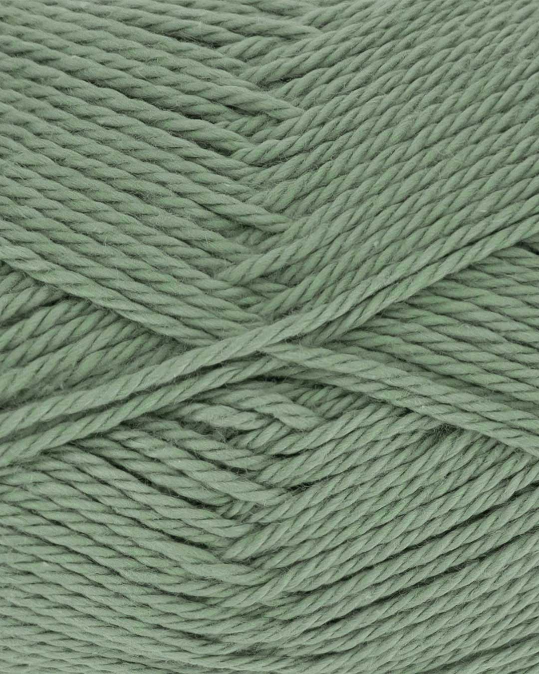 Everyday Cotton