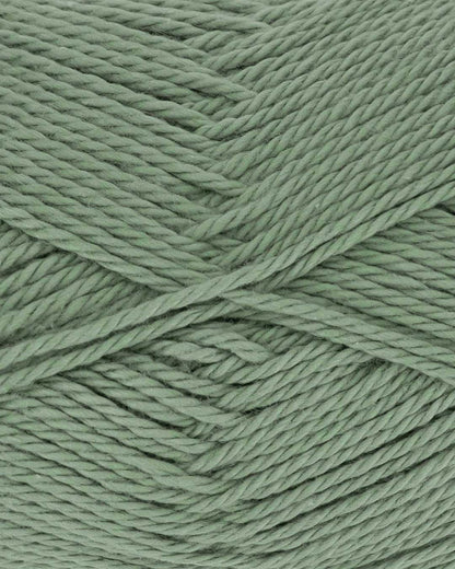 Everyday Cotton