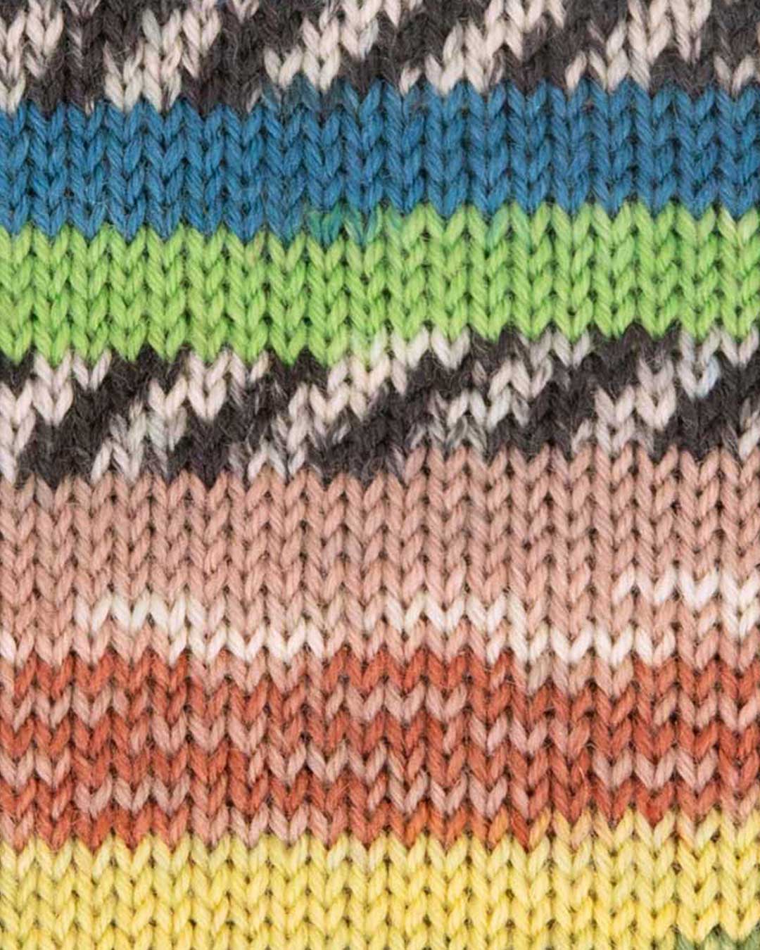 c6488-06__Hot_Socks_Limone_4_fach_B2.jpg
