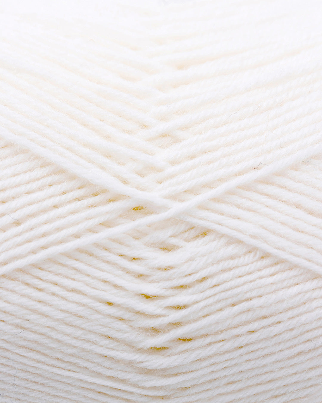 c6495-86__Hot_Socks_uni_100_B2.jpg