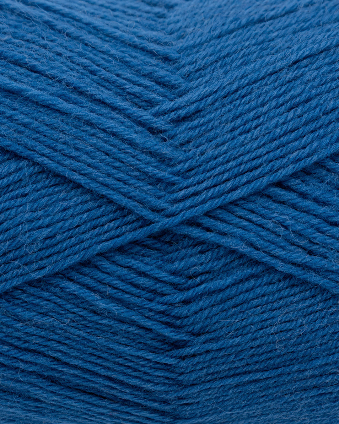 c6495-87__Hot_Socks_uni_100_B2.jpg
