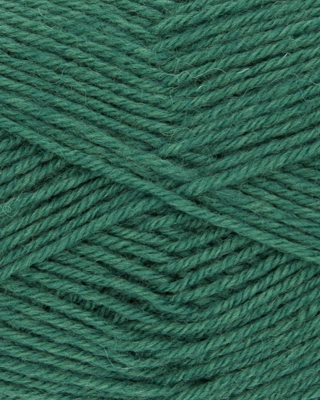 c6495-93__Hot_Socks_uni_100_B2.jpg