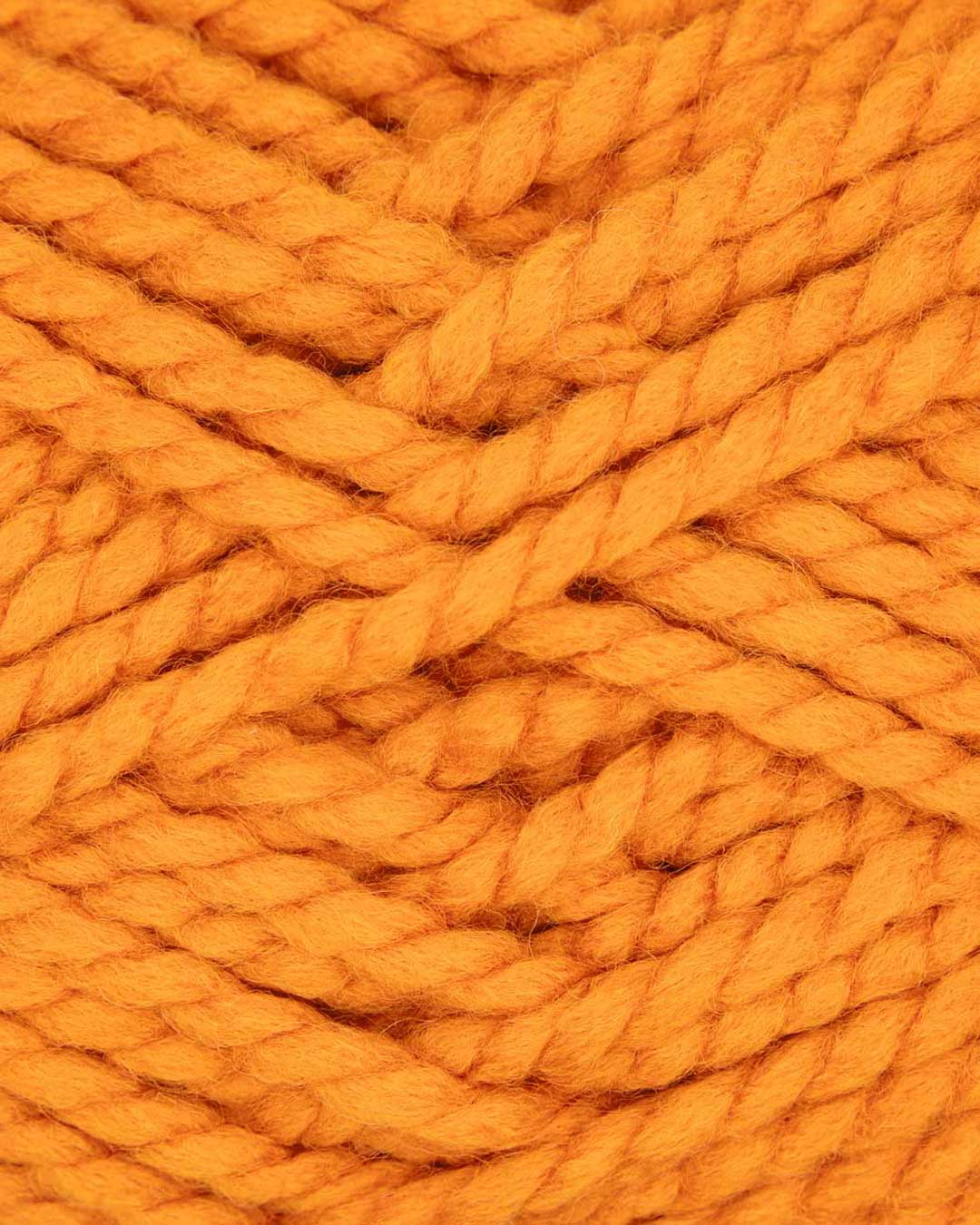c6505-11__Lisa_Premium_Grande_B2.jpg