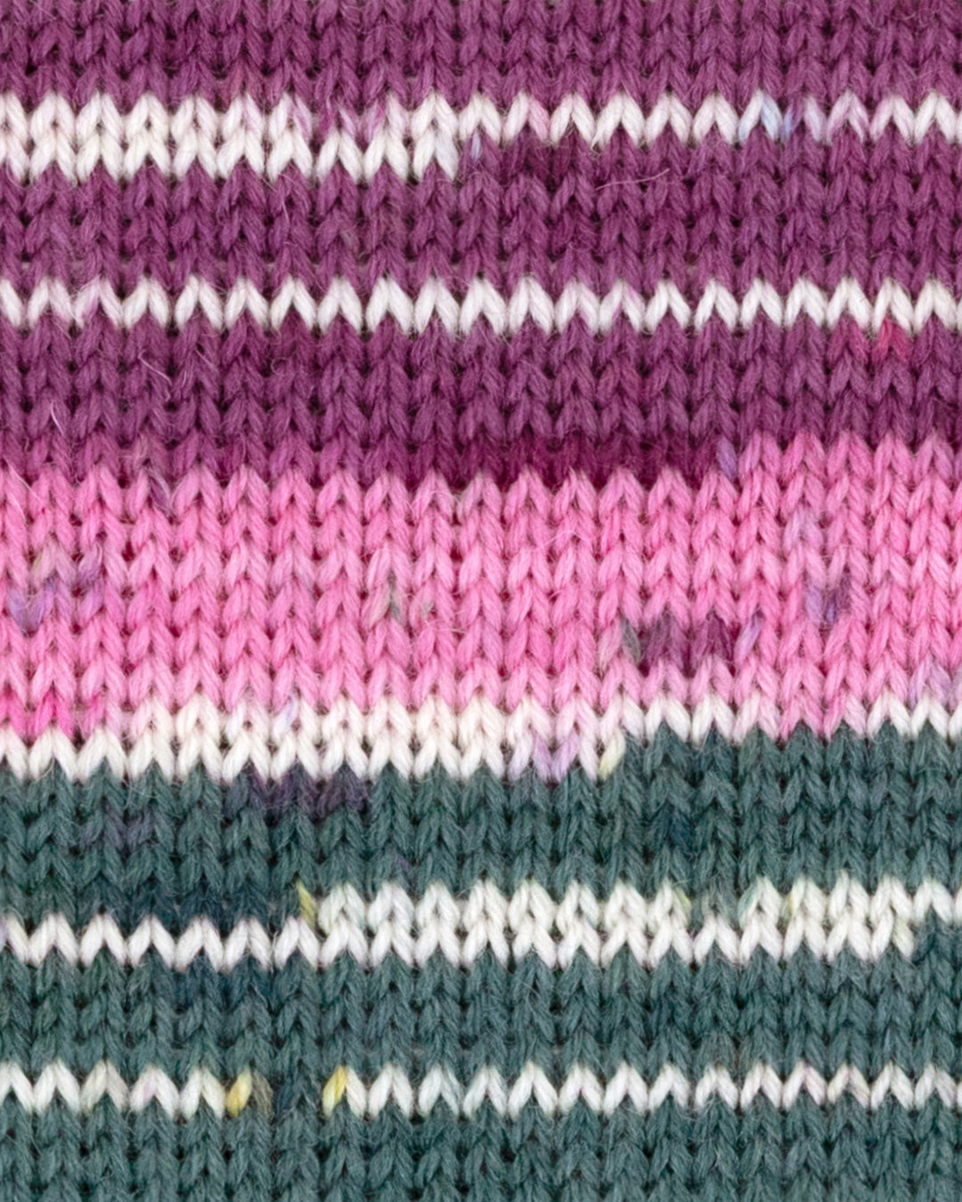 c6528-06__Hot_Socks_color_B2.jpg
