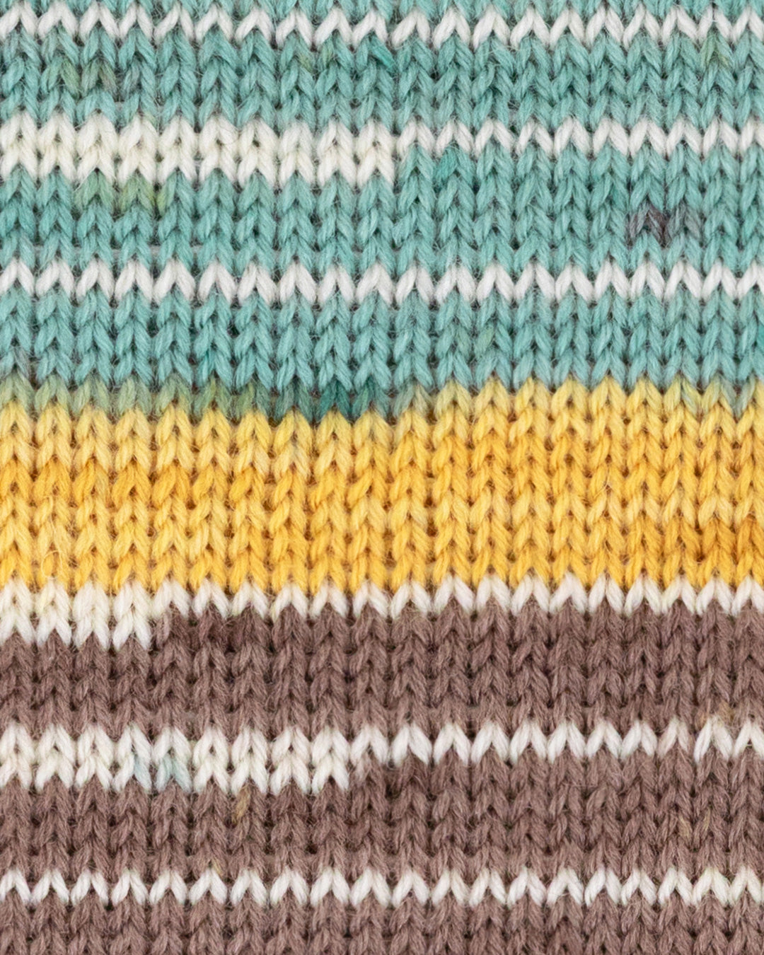 c6528-12__Hot_Socks_color_B2.jpg