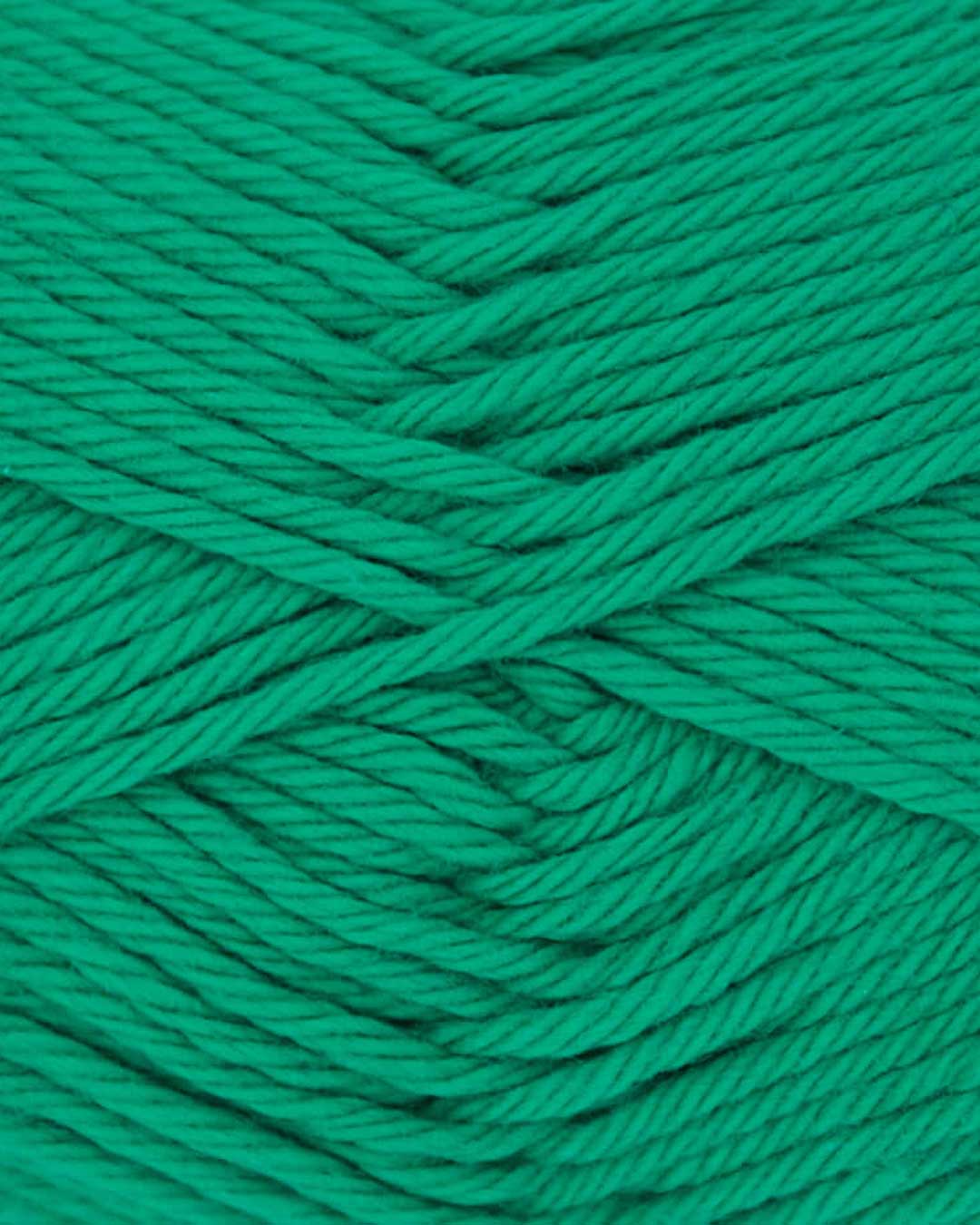 c762-26__Cotton_Fun_B2.jpg