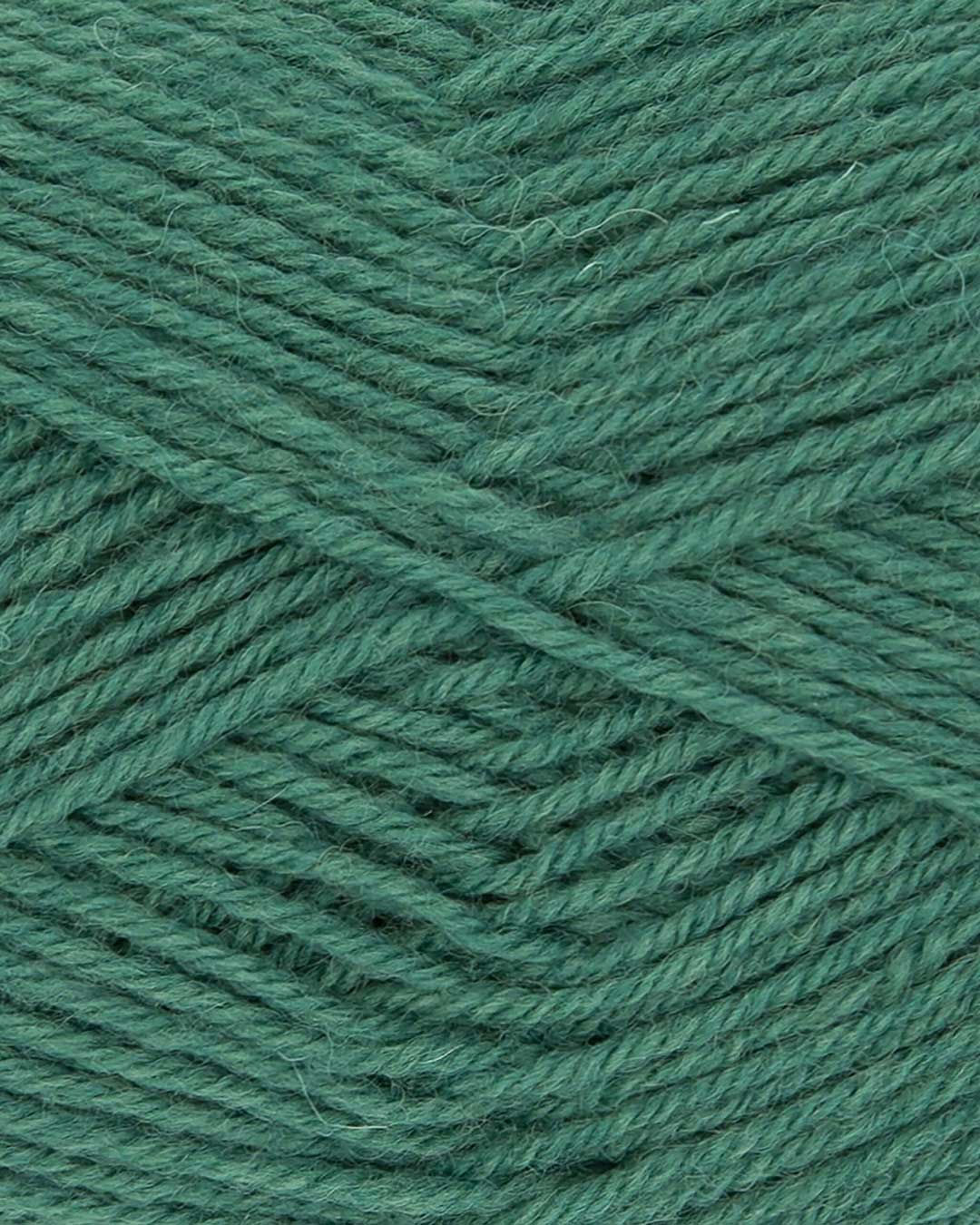 c770-22__Hot_Socks_uni_50_B2.jpg