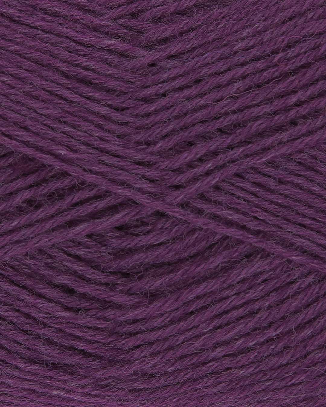 c770-60__Hot_Socks_uni_50_B2.jpg