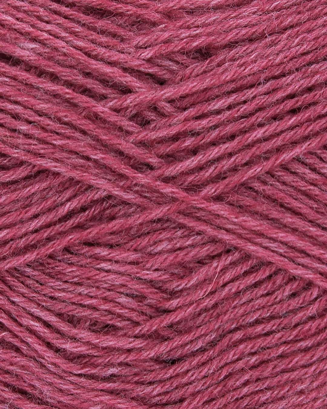 c770-63__Hot_Socks_uni_50_B2.jpg
