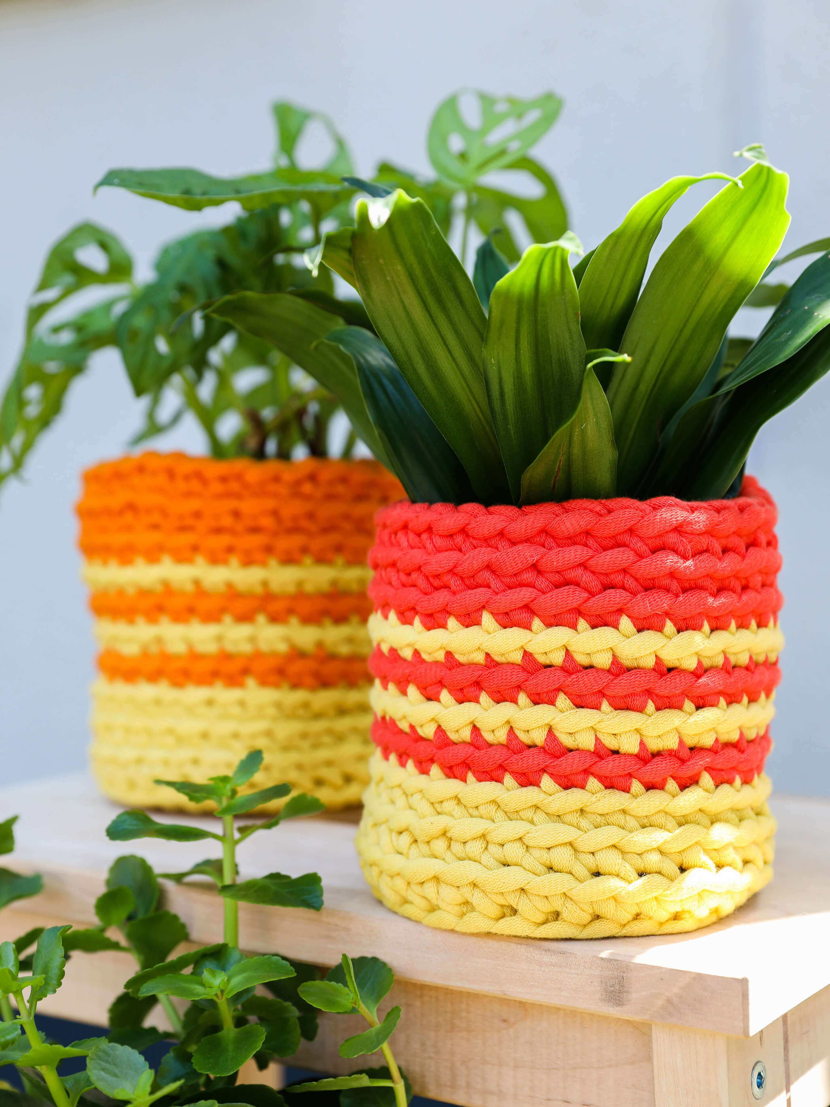 Crocheted Flower Basket