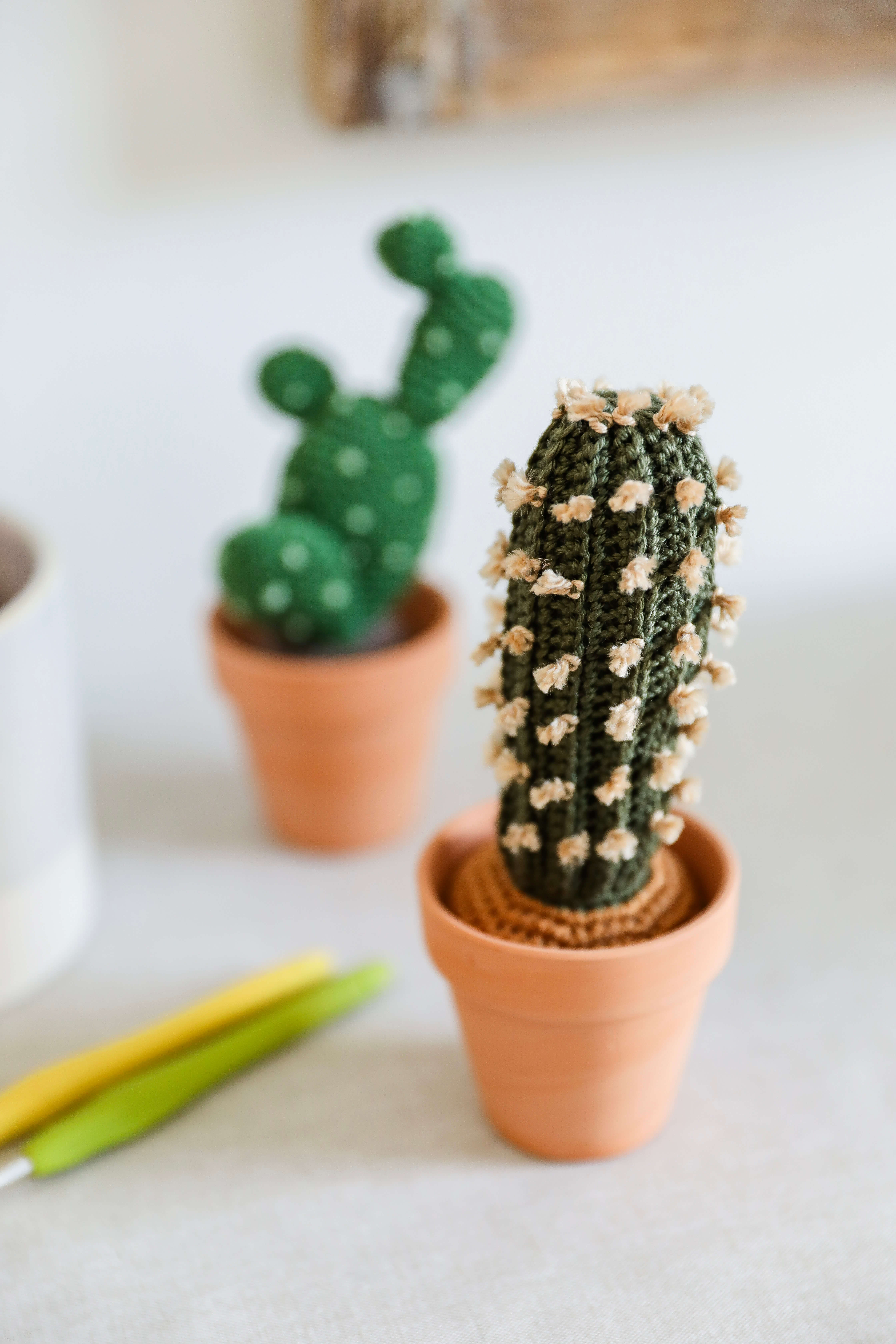 Kaktus mit Stacheln